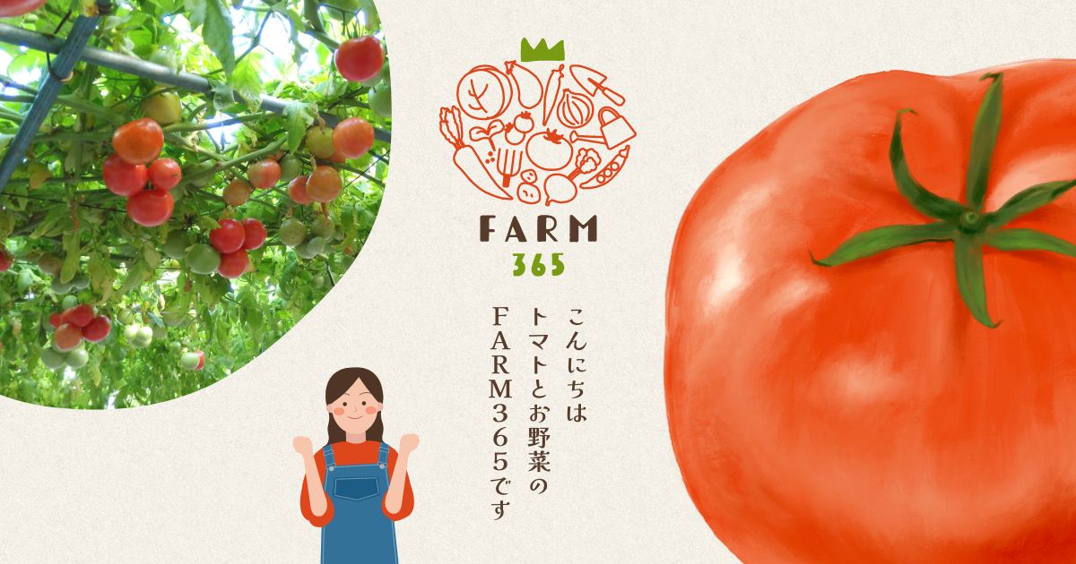 トマトとお野菜の農園｜愛知県春日井市のFARM365